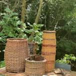 Willow Weaving Workshop — Holistic Survival School