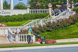 Enforcement cases with initial penalties of $40,000 or above (includes citations issued starting january 1, 2015. Anaheim Ca Landscape Services