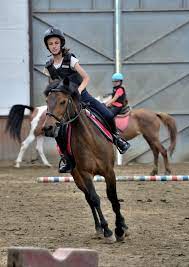 Find deals, aaa/senior/aarp/military discounts, and phone #'s for cheap schepdaal hotel & motel rooms. Editiepajot Schepdaal Manege De Ponyhoeve Verwent Ruitertjes En Pony Tijdens Vakantie