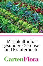 Mischkultur Gesundere Beete Mit Gemuse Und Krautern Gartenflora In 2020 Mischkultur Gemusegarten Tipps Garten