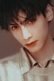 la van hi luo yunxi おしゃれまとめの人気アイデア pinterest mei mei 美しい人 レオ 雲