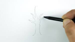 Pine trees are a popular choice for artists who enjoy drawing trees because adding branches brings your pine tree drawing to life. How To Draw A Detailed Tree 11 Steps With Pictures Wikihow