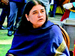 Model, gandhi bahu, modi's minister: Will Her Son S Remarks Queer The Pitch For Maneka Gandhi In Sultanpur Times Of India