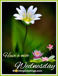 Huge collection, amazing choice, 100+ million high quality, affordable rf and rm images. 18 Wonderful Wednesday Greetings Morning Greetings Morning Quotes And Wishes Images