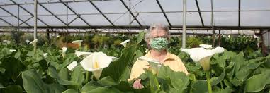 We are all about texture, romance, and deliciousness when it comes to flowers! Hendricks Flowers Brighten Someone S Day All Year Long The Heart Of The Farm Is The Family Lancasterfarming Com