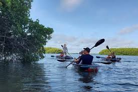 Each room is a uniquely accented throwback to a time when. Tripadvisor Clear Kayak Guided Tour In St Pete St Petersburg Florida Kayak Tours Kayaking Trip Advisor
