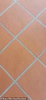 Ensure your team stays focused on their tasks and hire a commercial cleaner to keep your workplace safe and healthy with the best specialist equipment and. The 10 Bunnings Buy That Transformed A Mum S Grout In Seconds Readsector