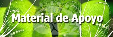 Resultado de imagen para material de apoyo