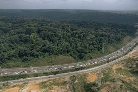 Photo En Côte d'Ivoire le parc national du Banco un poumon vert sous ...