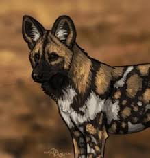 Armadillo, red deer, jaguar, capivara, tapir, lizard, and among others, the giant rhea. How To Draw African Wild Dogs Step By Step Safari Animals Animals Free Online Drawing Tutorial Added By Makangeni Oct African Wild Dog Draw Dog Wild Dogs