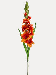 The Most Brilliant Understated Luxury Gladiolus Flower Gladiolus Gladiolus Flower Tattoos