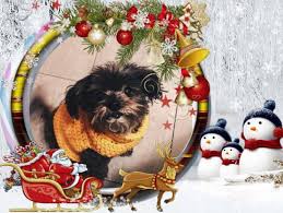 Christmas beach is an unusual thing we've encountered on christmas decorations. Nzymes Christmas Stories And Pics Nzymes Com