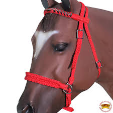 Check spelling or type a new query. Hilason Flat Braided Paracord Horse Headstall Bridle W Crystals Hilason Saddles Tack Superstore