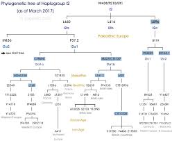Isogg Chart Beautiful Haplogroup I2 Y Dna Eupedia Facebook
