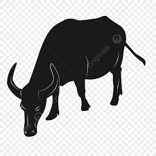 Silhueta De Boi Preto Comendo Grama PNG , Preto, O Gado, Silhueta Imagem  PNG e PSD Para Download Gratuito