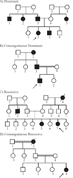 Some Of The Selected Pedigrees Out Of 140 Asthmatic Families