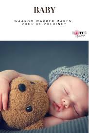 Pin Op Blogs Op Lotus Writings Gezin Ouderschap Opvoeden Borstvoeding Reviews