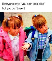 Even though these memes have circulated across the internet, many people still can't name the movie or describe the scene they came from. 30 Of The Best Sibling Memes Ever Bored Panda