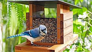 Bird Feeder Pole System Lowes How To Build A Diy Bird Feeder Bird Houses Diy Wooden Bird Feeders Bird Houses Ideas Diy