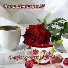 O Zi De Miercuri Mov Anitanna S Blog La Cafeneaua Trandafirul Rosu