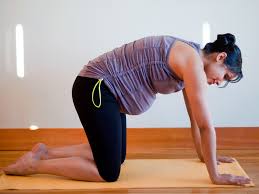 Whereas a cat cow uses a forward and back movement of pelvis, this move requires you to rotate it. Four Exercises To Ease Aches And Help With Labor Babycenter