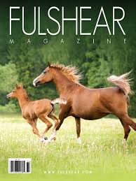 Tx, we utilize the latest in animal science and veterinary. Fulshear Magazine Vol 03 No 01 By Real Property Marketing Group Ltd Issuu