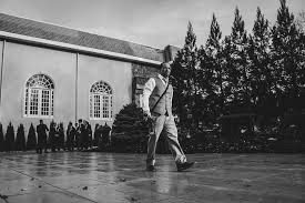 Tuxedo Panda (@thetuxedopanda) • Instagram photos and videos