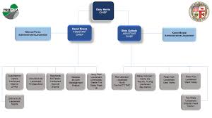 Investigation Enforcement Organization Chart Bureau Of