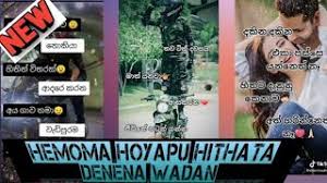 We just have to give our all to the relationships we. Download Hint Tik Tok Wadan 3gp Mp4 Codedwap