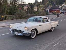 Image result for Doeskin Tan 1957 Thunderbird
