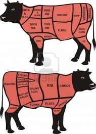 Stock Vector Meat Rubs Beef Beef Recipes