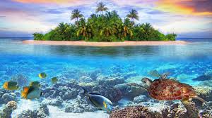 26 951 maldives island stock video clips in 4k and hd for creative projects. 34 4k Ultra Hd Maldives Wallpapers Background Images Wallpaper Abyss