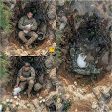 When soldiers found his body, his final note wasn't about himself, it was  for his cat. For three months, drone footage from the front line quietly  recorded a rare friendship: a soldier