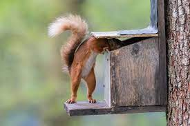 50 funny animal pictures that you need in your life. 50 Funny Animal Pictures Cute Photos Of Wild Animals