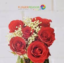 Yes you can send gift cards internationally, but it will be hard to redeem as gift cards cannot be converter to receiver's local money. Long Associated With Beauty And Perfection Red Roses Are A Time Honored Way To Say I Love You International Flower Delivery Flower Delivery Flower Meanings