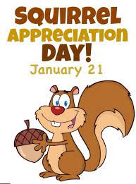 Jan 21 Is Squirrel Appreciation Day Yes Really Should Be November 21st Squirrel Appreciation Day Cute Squirrel Squirrel Funny