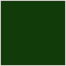 Below are 48 working coupons for dark green color code from reliable websites that we have updated for users to get maximum savings. 113b08 Hex Color Rgb 17 59 8 Dark Fern Green