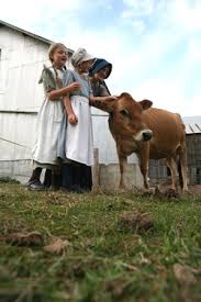 1,283 perfect milk products are offered for sale by suppliers on alibaba.com, of which coffee & tea sets accounts for 1%, soy milk accounts for 1%, and milking machines accounts for 1%. Raw Grass Fed A2 Milk God S Perfect Food Keeper Of The Homestead