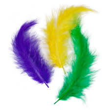 Image result for feathers