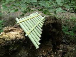 Make 4 Easy Bamboo Flutes For Free 7 Steps With Pictures Instrument De Musique Instruments Musique