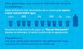Por Que Es Importante Beber Agua Durante El Embarazo Respuestas Tips