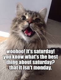 90 Funny Saturday Memes Images Pics For A Happy Weekend Funny Saturday Memes Saturday Quotes Funny Saturday Humor