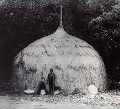 a meriam domed house this being a particularly large example with a central post rather than a free span vernacular architecture aboriginal aboriginal history