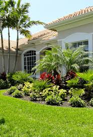 Check spelling or type a new query. 19 Landscaping With Palm Trees Ideas In 2021 Florida Landscaping Front Yard Landscaping Yard Landscaping