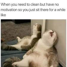 Animals Can Express Our Current Mood In The Most Accurate Way Funny Animal Jokes Funny Animal Quotes Animal Jokes