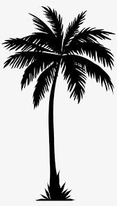 These silhouettes are extremely easy to recolor in your favorite image editing software. Palm Tree Silhouette Png Clip Art Image Free Palm Tree Silhouette Png Image Transparent Png Free Download On Seekpng