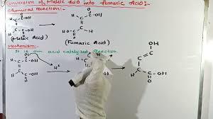 Maleic Anhydride Is Formed From Maleic Acid When It Loses A Molecule Of  Water And Cyclizes. What Structural Feature Prevents Fumaric Acid From  Undergoing This Reaction?