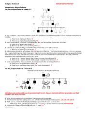2 email settings pedigrees lesson pedigree chart worksheet. Kami Export Pedigree Worksheet Pdf Pedigree Worksheet Jenica Hancock Name 6 Period Date Interpreting A Human Pedigree Use The Pedigree Below To Course Hero