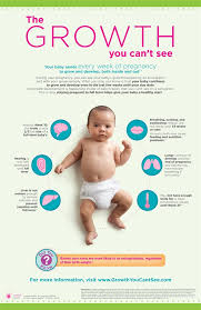 Image result for Preterm Infant Growth