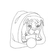 Your child will have a blast letting their creativity flow while filling in one of our printable coloring pages. Dog In Santa Hat Coloring Page Hello Kitty Coloring Page Kitty Coloring Pages Hello Kitty Coloring